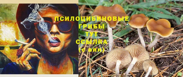 a pvp Наволоки