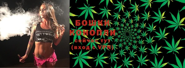 СК Надым