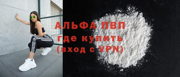 СК Надым